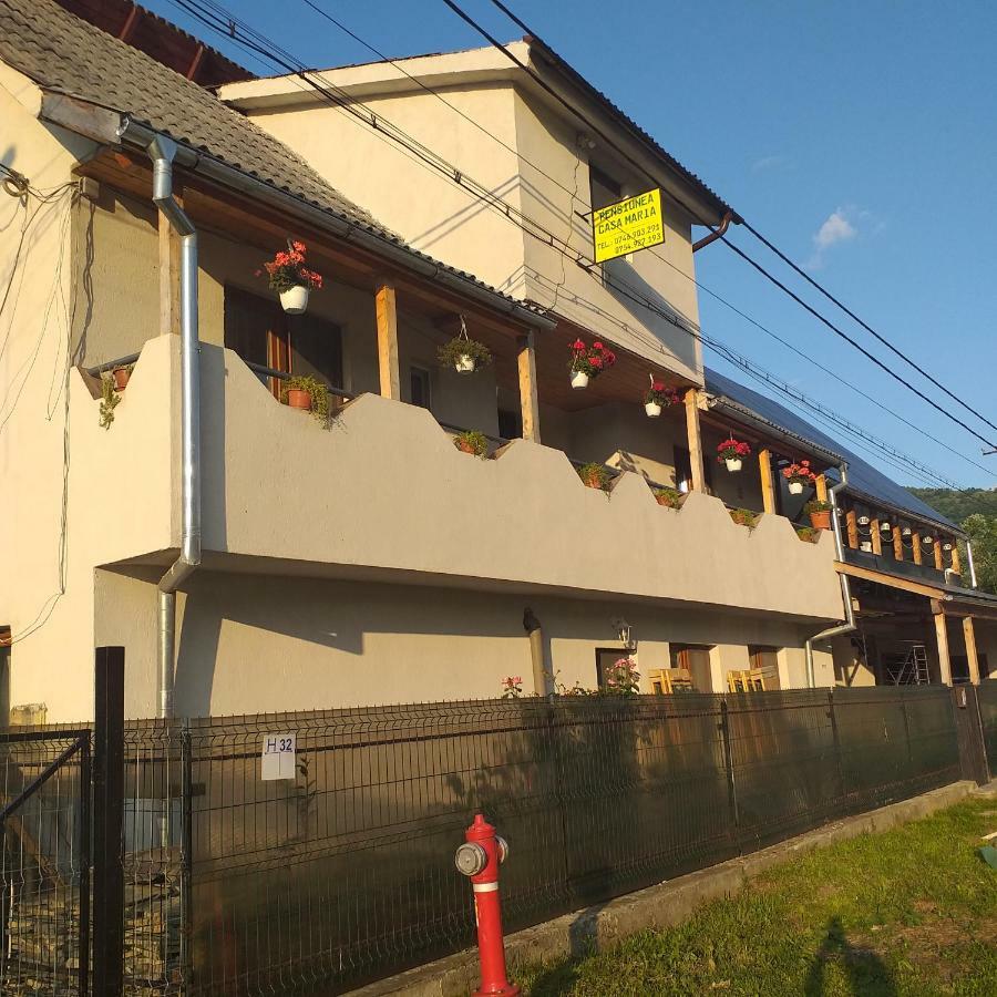 Pensiunea Casa Maria Vişeu de Sus 외부 사진