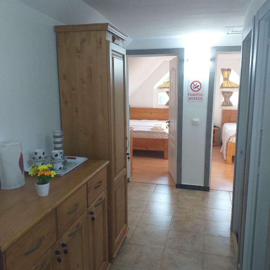 Pensiunea Casa Maria Vişeu de Sus 외부 사진